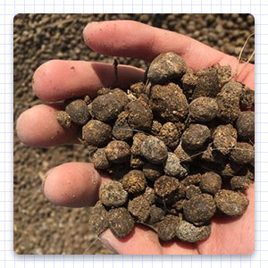 Organic fertilizer