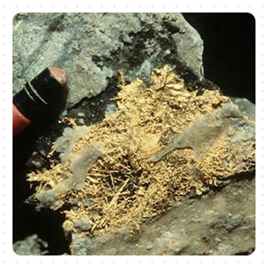 Epithermal gold